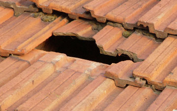 roof repair Saline, Fife